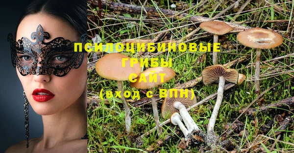эйфоретик Елизово