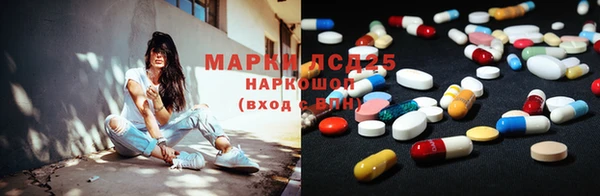 PSILOCYBIN Ельня