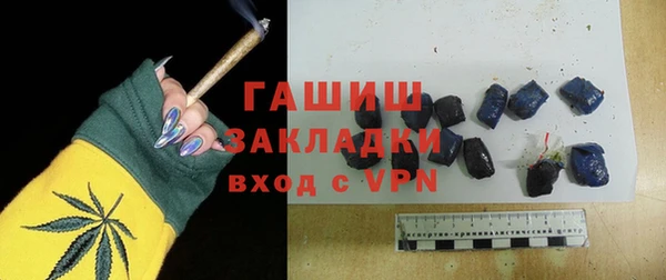 PSILOCYBIN Ельня