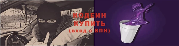 бошки Заводоуковск