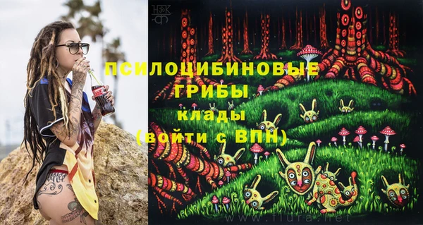 эйфоретик Елизово