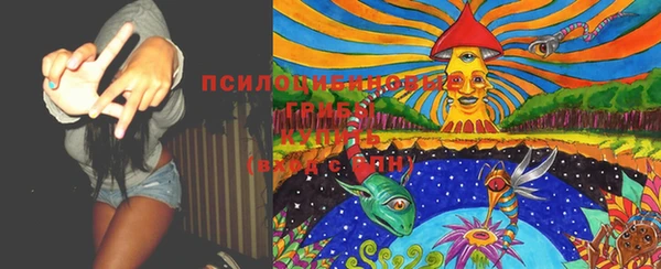 эйфоретик Елизово