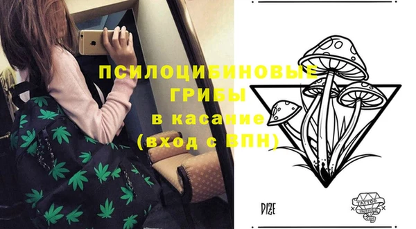 бошки Заводоуковск